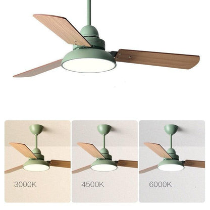 Nordic Ceiling Fan Lights Children's Quiet Chandelier Dining Room